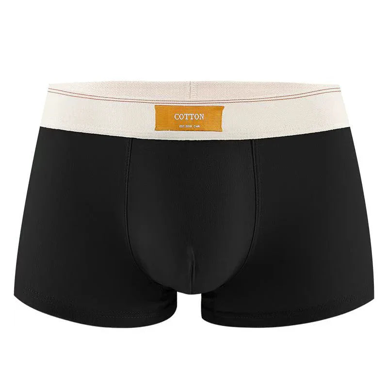 Boxers We.Fine : Le Confort Absolu au Quotidien( 3pcs)